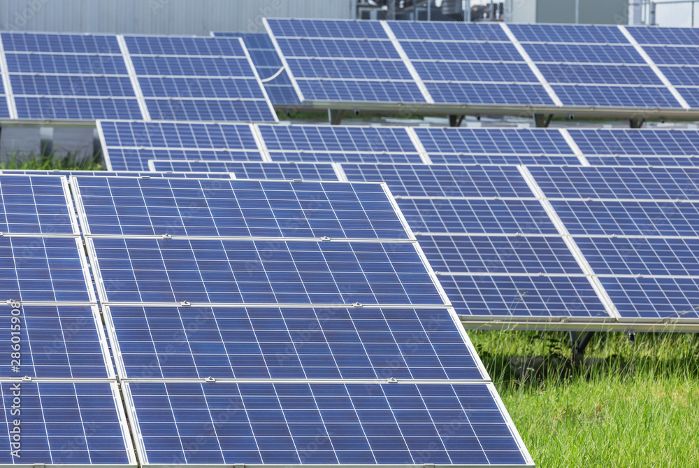 Close up rows array of polycrystalline silicon solar cells or photovoltaic cells in solar power plant turn up skyward absorb the sunlight from the sun alternative renewable energy energy efficiency Close up rows array of polycrystalline silicon solar cells or photovoltaic cells in solar power plant turn up skyward absorb the sunlight from the sun alternative renewable energy energy efficiency