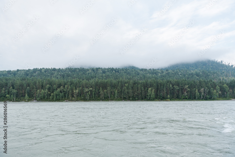 Landscape of Altai Mountains. View of the foothills. The clouds went down to the mountains. The pure wildlife of Altai. View of the Katun River. Landscape of Altai Mountains. View of the foothills. The clouds went down to the mountains. The pure wildlife of Altai. View of the Katun River.