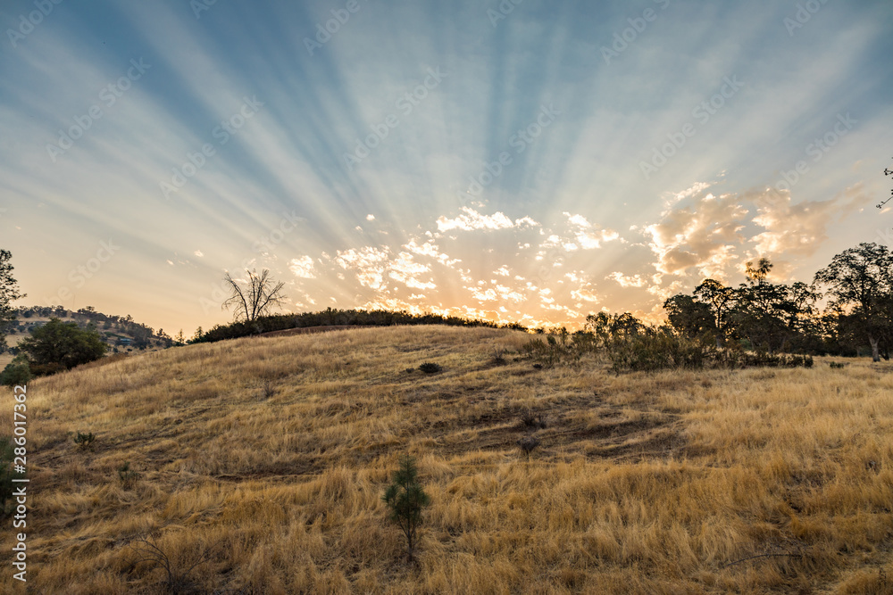 Streaming sunlight from sunrise over grassy hill Streaming sunlight from sunrise over grassy hill