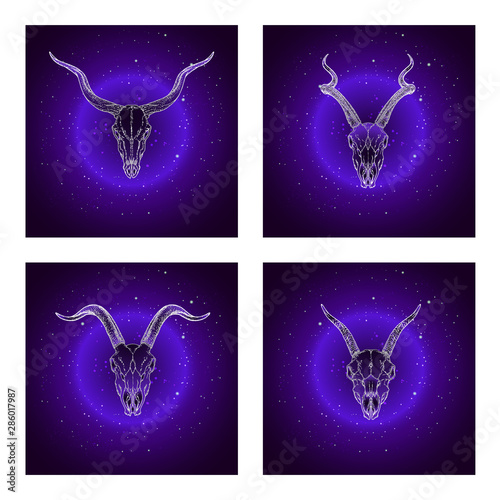 Vector set of four illustrations with hand drawn skulls antelopes and goats on purple abstract background.
