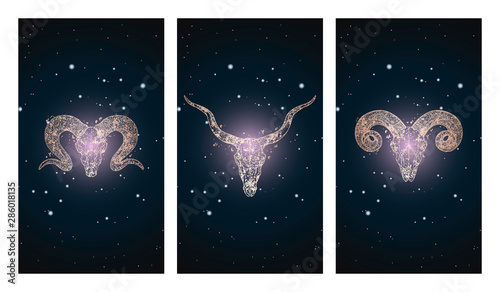 Vector set of three illustrations with silhouettes skulls antelope and rams against the background of the starry sky.