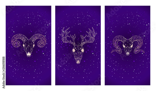 Vector set of three illustrations with gold silhouettes skulls deer and rams against the background of the starry sky.