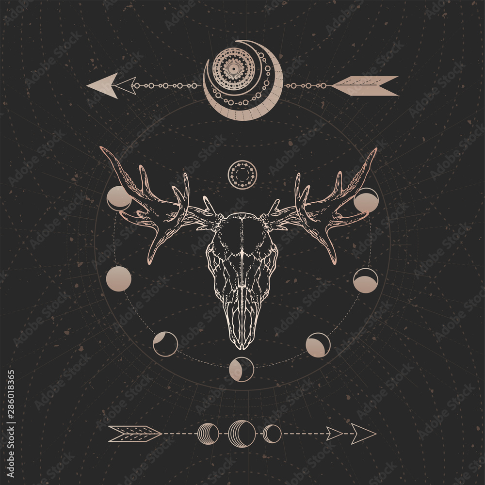 Vector illustration with hand drawn Moose skull and Sacred geometric ...