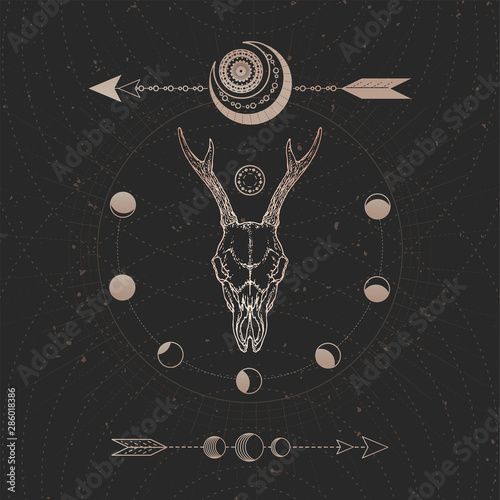 Vector illustration with hand drawn Roe deer skull and Sacred geometric symbol on black vintage background. Abstract mystic sign.