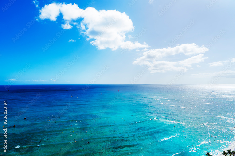 海 海