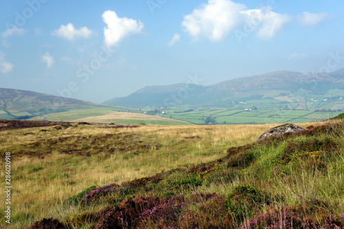 In the foggy mountains of the Cooley Peninsula. photo