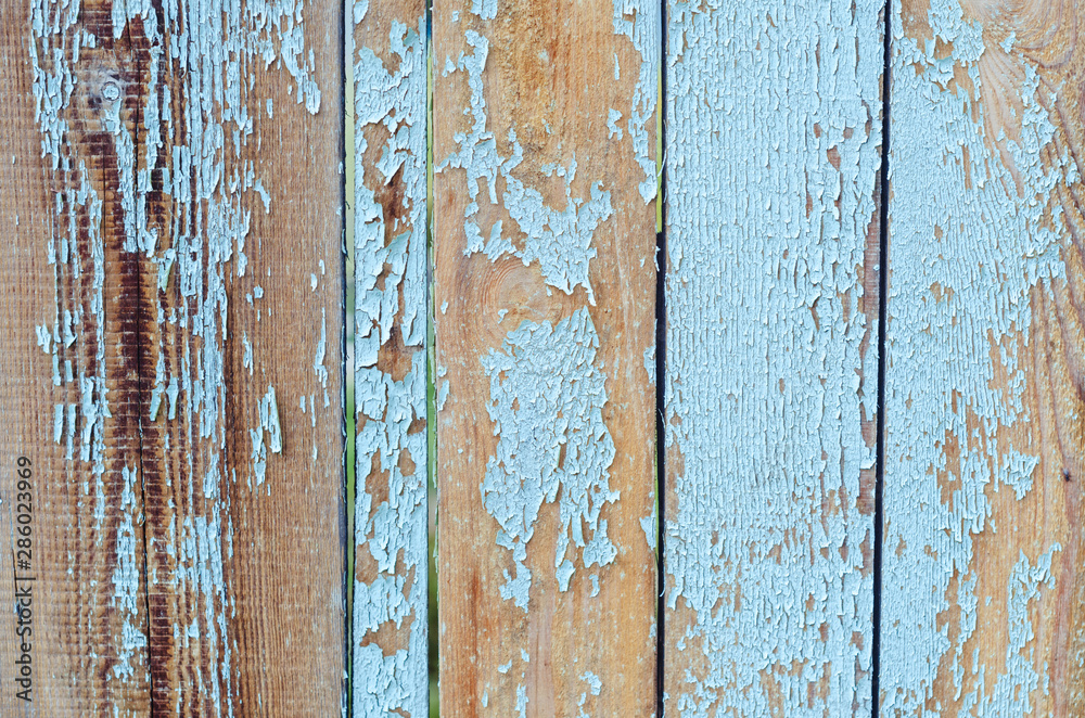 vertical old boards with blue peeling paint, background and texture