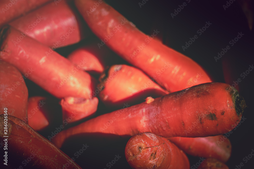 Close up of Fresh carrot; carrot background Close up of Fresh carrot; carrot background