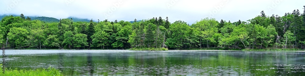 遊歩道から見た知床五湖の情景@北海道 遊歩道から見た知床五湖の情景@北海道