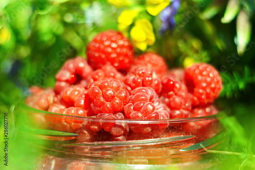 Open glass jar filled with ripe sweet juicy red raspberry berry on Brightly lit by sunlight blurred background of green meadow with wild field flowers. Summer wallpaper. Selective focus