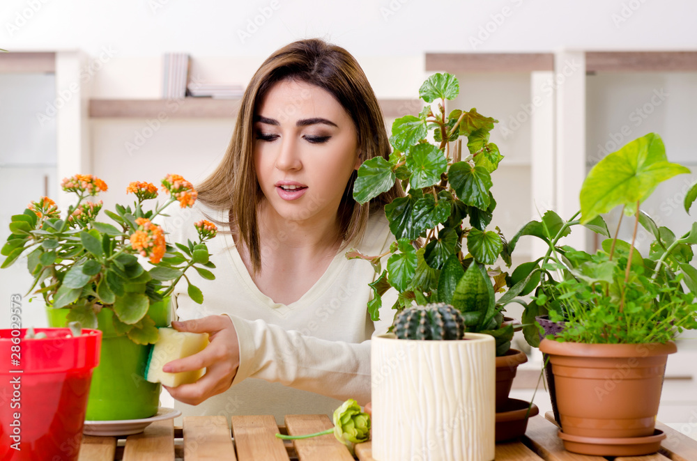 Young female gardener with plants indoors