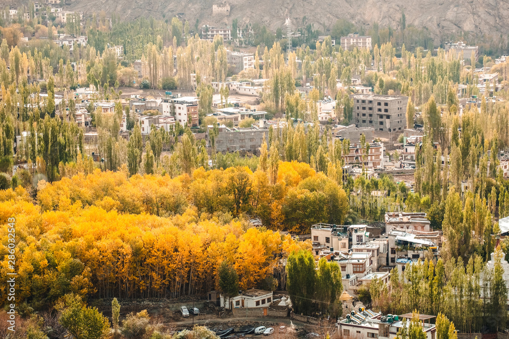 Autumn View of landscape in Leh Ladakh District ,Norther part of India