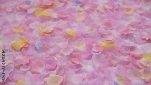 abstract background of pink and pink rose petals