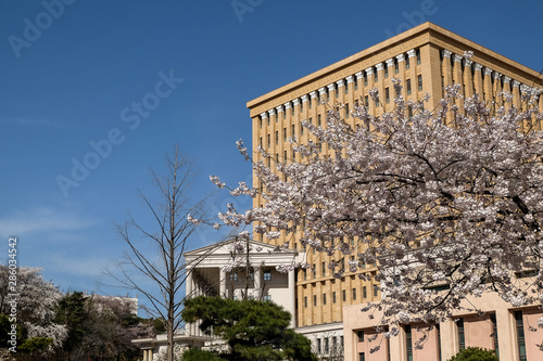 Photography Kyung Hee University
