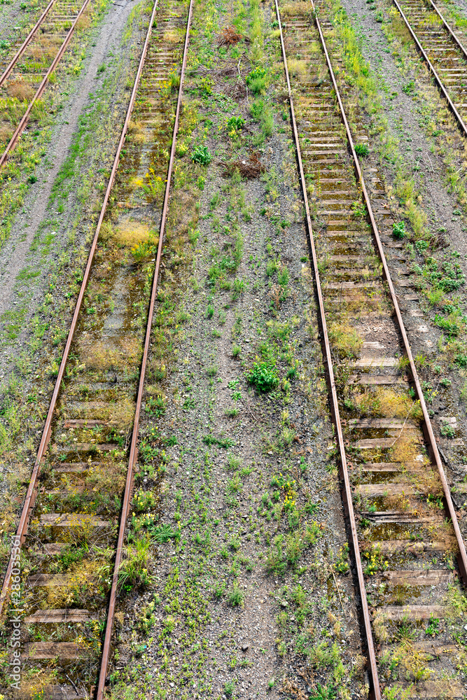 Obraz premium abandoned railway. Rails overgrown with grass.