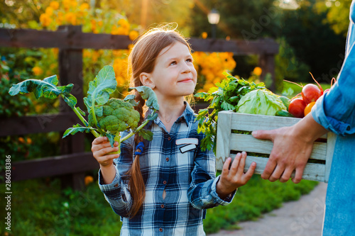 Quadro em tela Children little girl holding mom a basket of fresh organic vegetables with the home garden