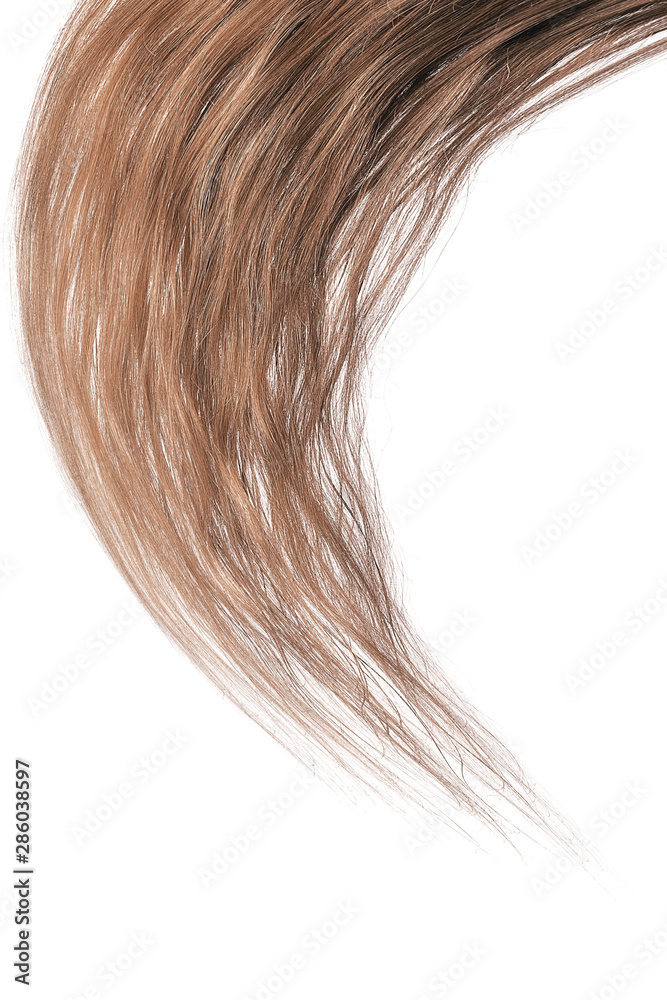 Lush brown hair, isolated on white background