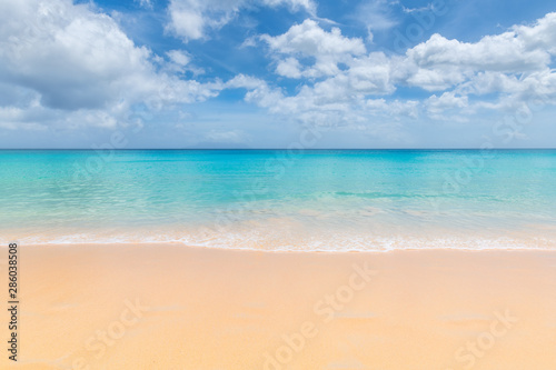 Beautiful clean sandy beach with soft blue wave of Caribbean sea.  © lucky-photo