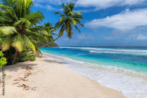 Paradise beach. Coconut palm trees on white sunny beach and Caribbean sea. Summer vacation and tropical beach concept. 