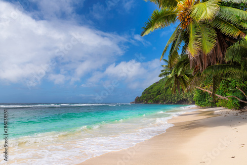 Fototapeta Naklejka Na Ścianę i Meble -  Tropical beach. Coconut palms on sunny beach and turquoise sea.  Summer vacation and tropical beach concept.  