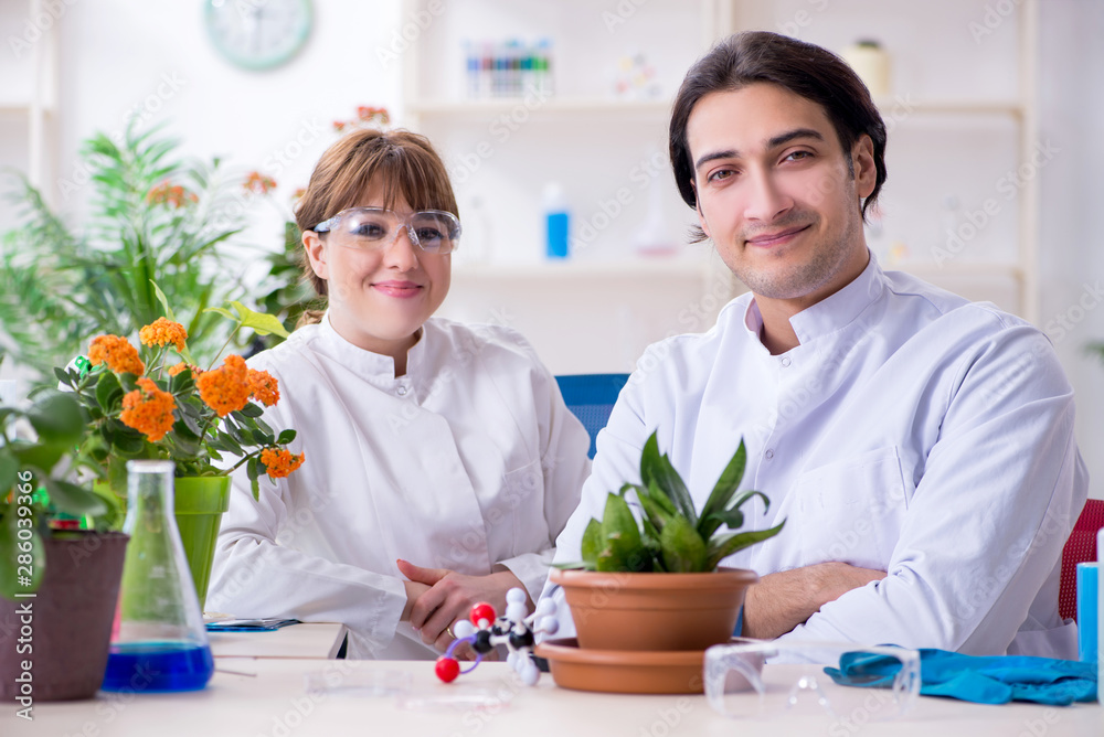 Two young botanist working in the lab Two young botanist working in the lab