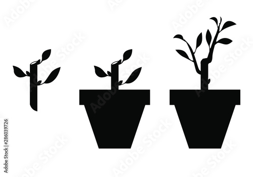 Vector illustrations of silhouette of sprout planted in a pot