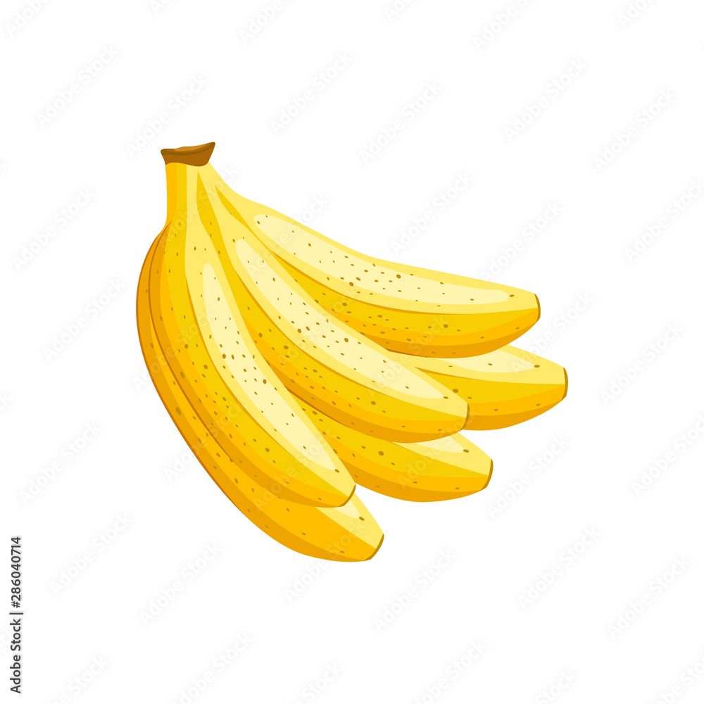 Banana vector illustration.