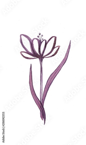 lilac purple watercolor. Botanical flowers and leaves decorative icon © Анна Протопопова