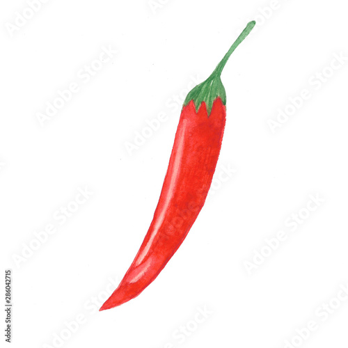 Hand drawn watercolor chili pepper isolated on white