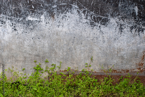 Abstract grunge background. Bottom of a rusty old iron black garage door. Iron with scratches. On the bottom is growing green grass.