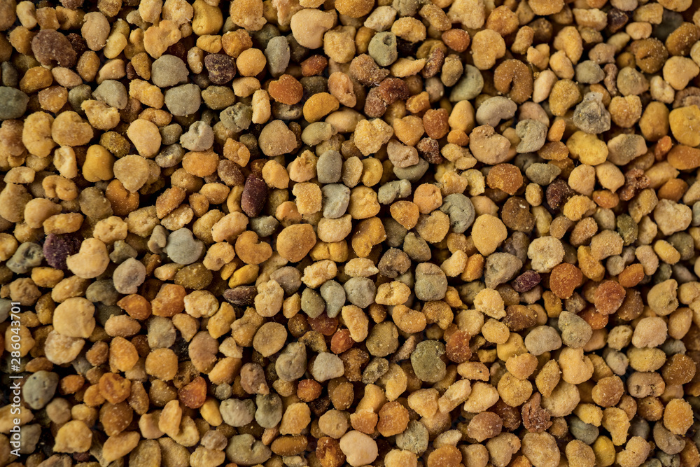 The texture of pollen. Propolis. Background image The texture of pollen. Propolis. Background image