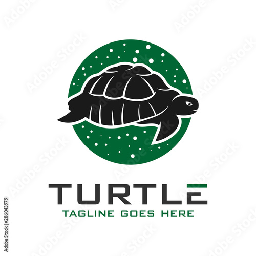 circle turtle logo design template