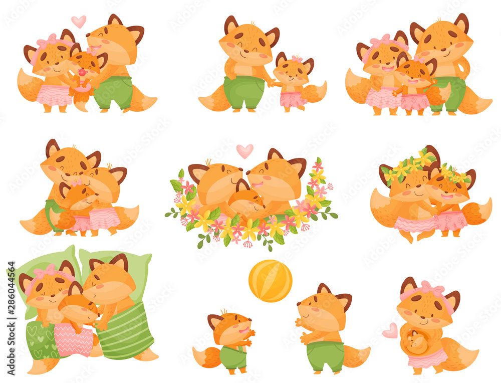 Obraz premium Set of images of a family of foxes. Vector illustration on a white background.