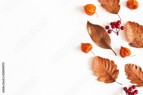 Autumn composition. Dried leaves  flowers  rowan berries on white background. Autumn  fall  thanksgiving day concept. Flat lay  top view  copy space