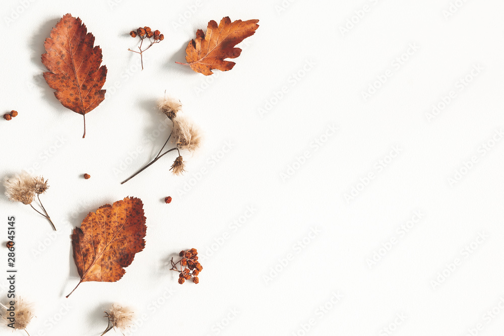 Plakat Jesienna kompozycja. Suszone liście, kwiaty, jagody jarzębiny na białym tle. Jesień, jesień, koncepcja Święto Dziękczynienia. Leżał płasko, widok z góry, miejsce