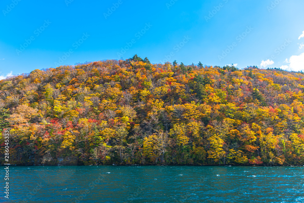 Beautiful autumn foliage scenery landscapes. Fall is full of magnificent colors. View from Lake Towada sightseeing Cruise ship. Clear blue sky, water, white cloud, sunny day background. Aomori, Japan Beautiful autumn foliage scenery landscapes. Fall is full of magnificent colors. View from Lake Towada sightseeing Cruise ship. Clear blue sky, water, white cloud, sunny day background. Aomori, Japan