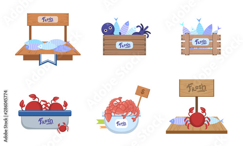 Seafood Market Design Elements Set, Freshness Fish and Sea Products on Counters Vector Illustration
