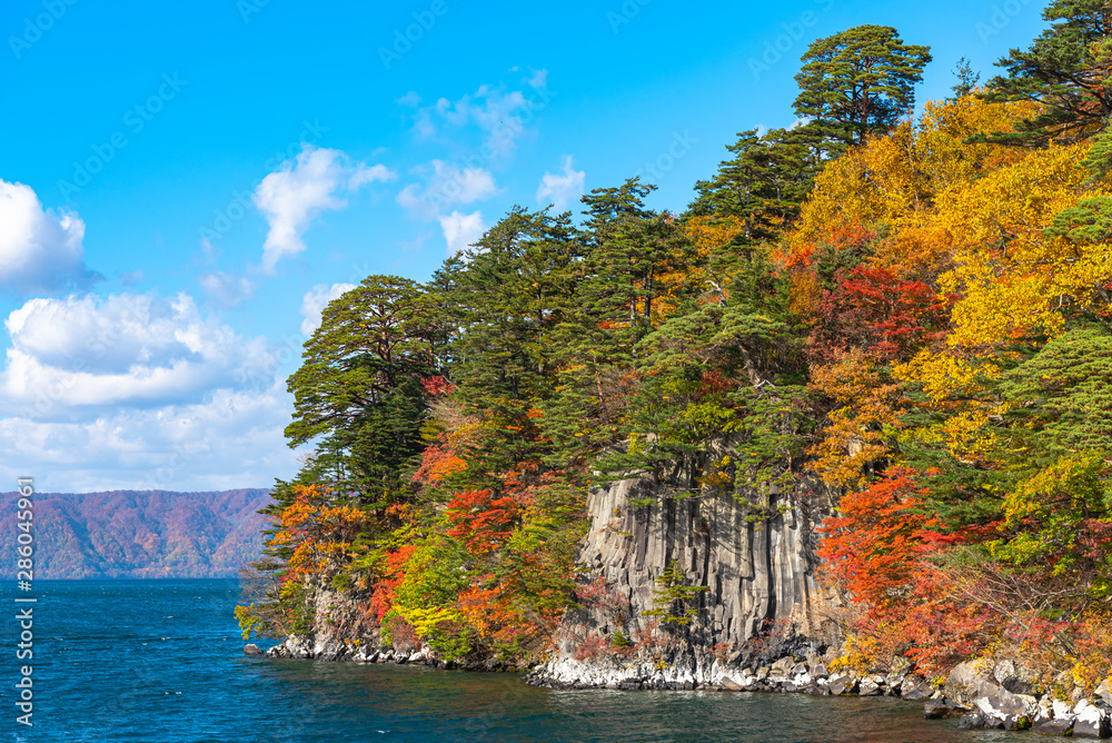 Obraz premium Beautiful autumn foliage scenery landscapes. Fall is full of magnificent colors. View from Lake Towada sightseeing Cruise ship. Clear blue sky, water, white cloud, sunny day background. Aomori, Japan