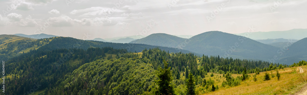 Panorama of nature in summer
