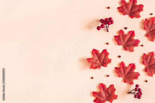 Autumn composition. Red maple leaves on beige background. Autumn  fall  thanksgiving day concept. Flat lay  top view  copy space