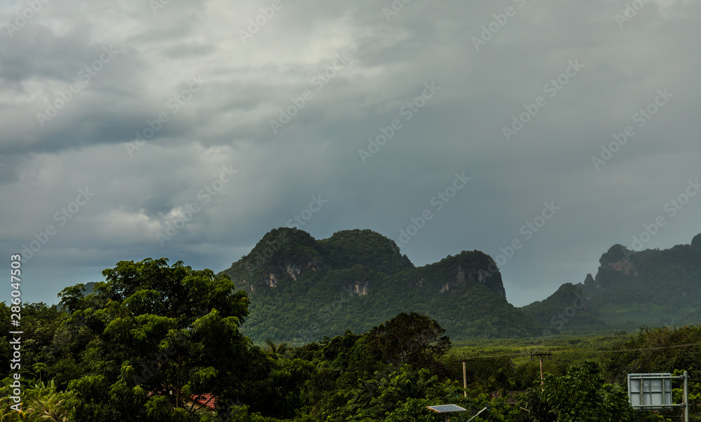 Fototapeta premium Looking at the mountain.