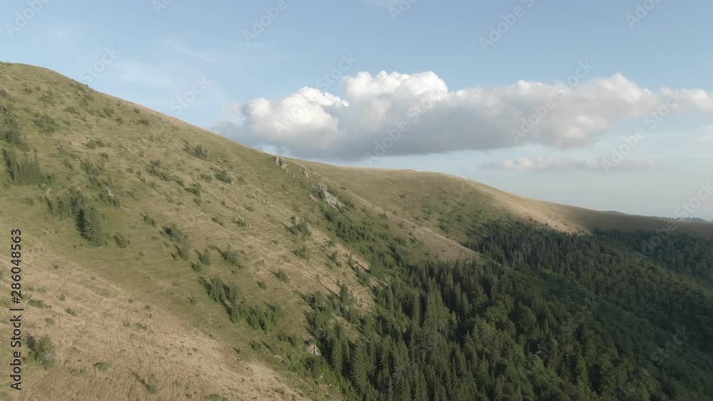 A wild forest filmed in a mountainous area during the day A wild forest filmed in a mountainous area during the day