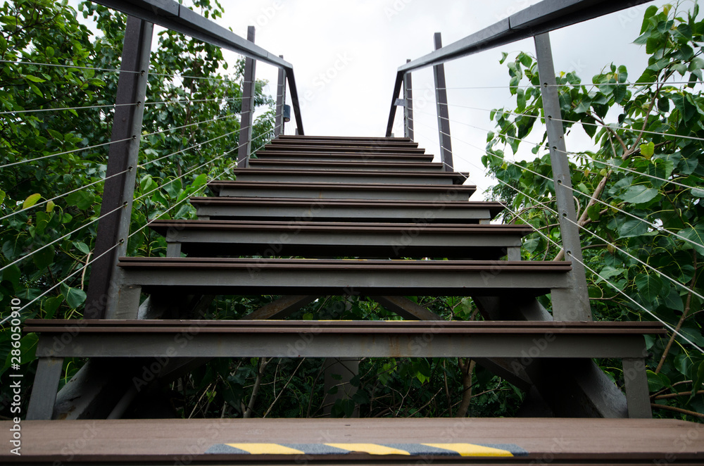 A wooden bridge in the park Built for the general public Come to relax in A wooden bridge in the park Built for the general public Come to relax in