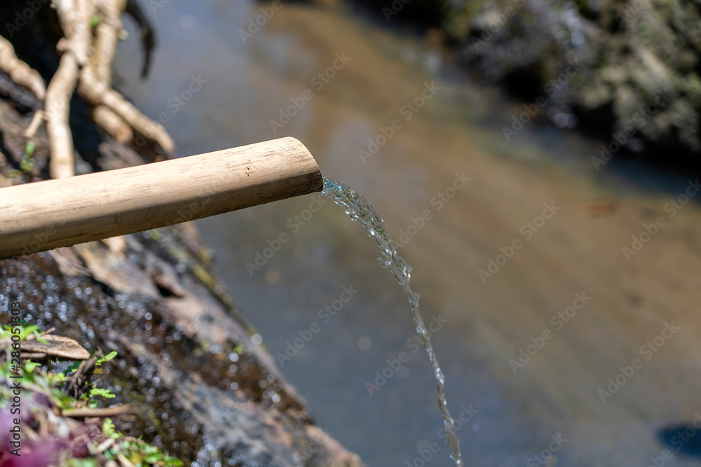 Water from the bamboo tube flows into the river in Ubud, Island Bali, Indonesia. Closeup Water from the bamboo tube flows into the river in Ubud, Island Bali, Indonesia. Closeup