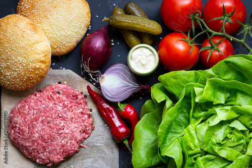 Obraz na płótnie Domowy burger w salonie