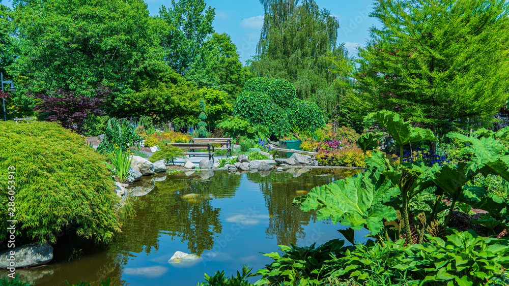 Ornamental Pond and Gardens At Der Lake Park, Burnaby, BC - Summer