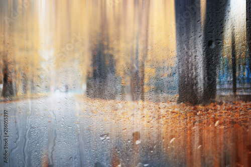 Background autumn rain in the park