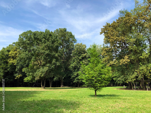 Park of Pejacevic Castle or Perivoj dvorca Pejacevic ili Nasicki gradski park - Nasice, Croatia photo