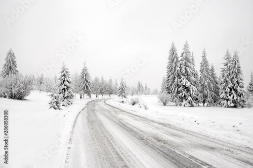 winter road in the forest © sebi_2569