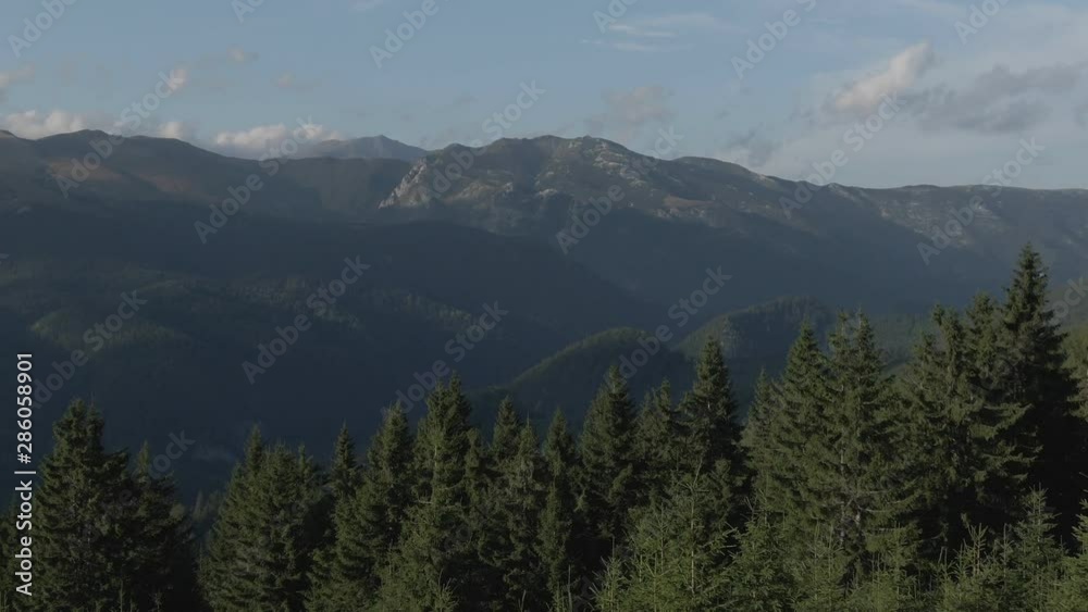 Great shot with drone over a land and a wild forest near Oslea mountain Great shot with drone over a land and a wild forest near Oslea mountain
